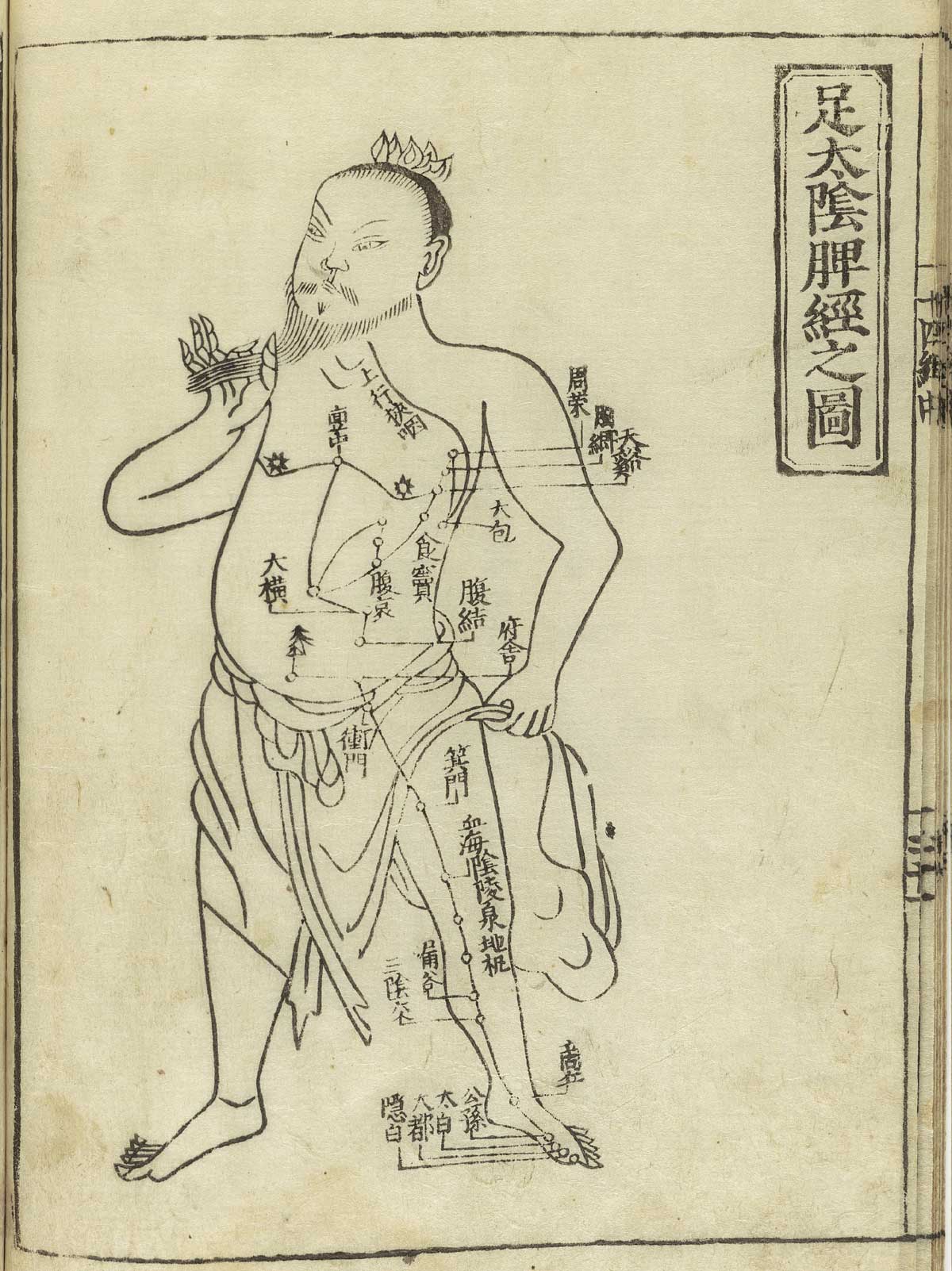 足太阴脾经