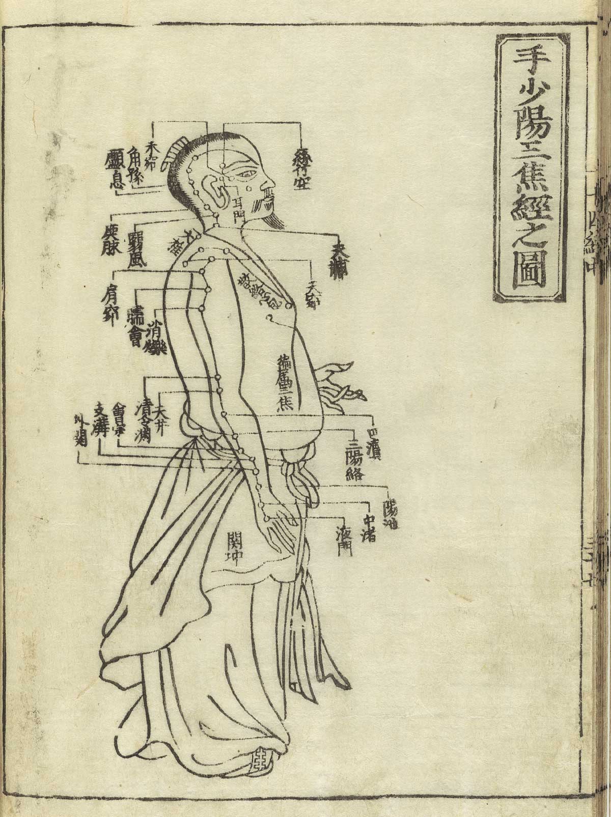 手少阳三焦经